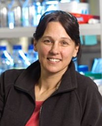 Melamed Philippa
