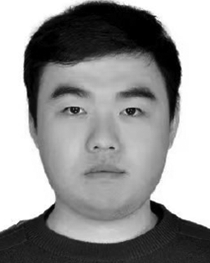 Shengyingjie Liu