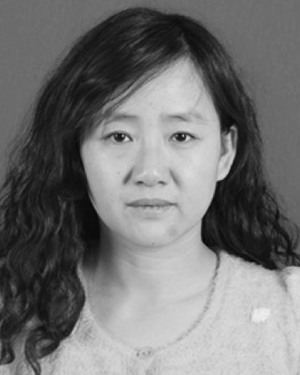 Lei Gao