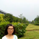 Yang Liu