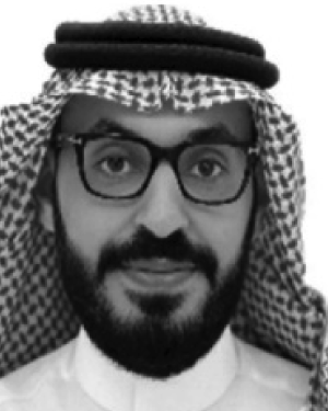 Thamer A. H. Alghamdi