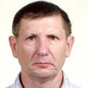 Vladimir P Minkovich
