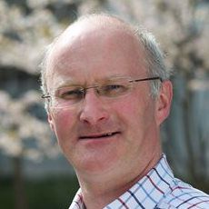 Anthony Metcalfe