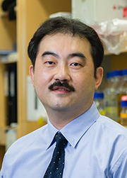 Shang Li