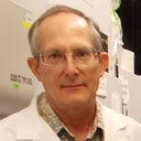 David E Wedge
