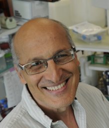 Marc Sitbon
