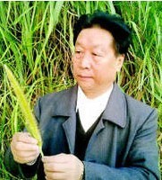 Zhanxi Lin