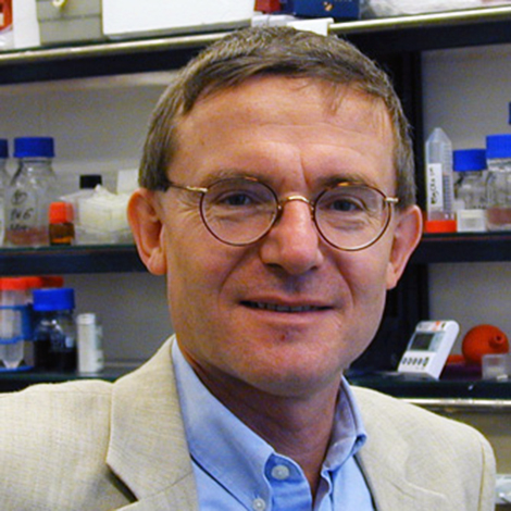Ralf-Rainer Mendel