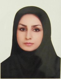 Nargess Memarizadeh