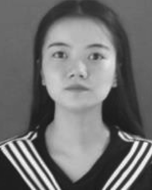 Lei Wang