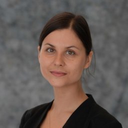Sergeeva Alina P