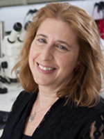 Nora E. Sarvetnick