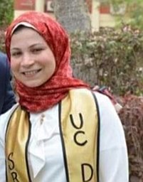 Noha Amaly
