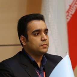 Mohammad. M. Alyannezhadi