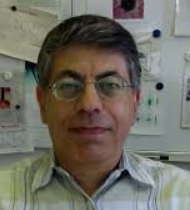 Elyahou Kapon