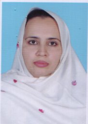 Shehla Gul