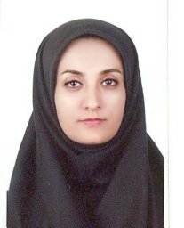 Mirmohamadsadeghi Safoora