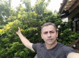J Soares