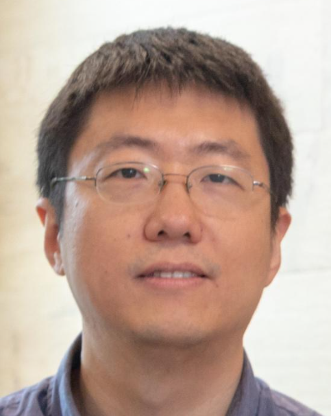 Yang Zhao