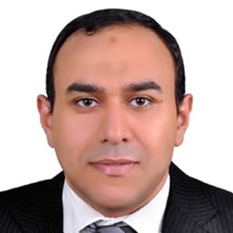 Abdelhamid El-Sawy