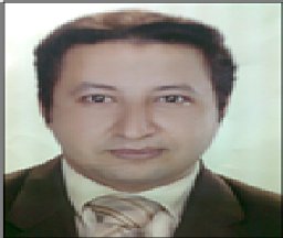Ahmed A. Askalany