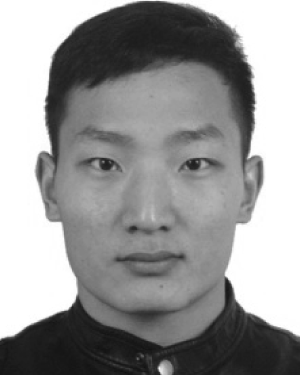 Feilong Liu