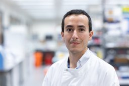 Regis Joulia