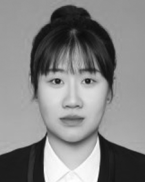 Zirun Lu