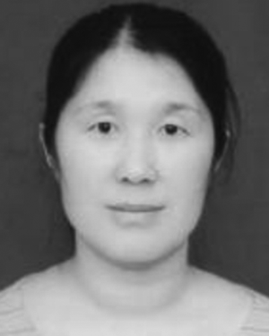 Hong Niu