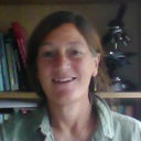 Mary E Pownall