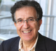 Taïeb Hafsi