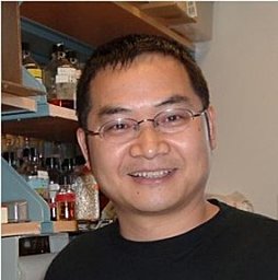 Zhang Pingbo
