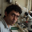 Jordi Miquel