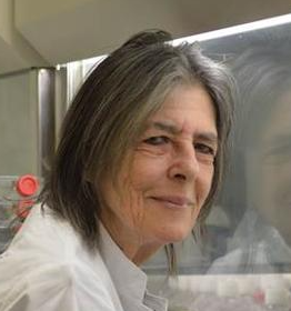 Margot Zöller