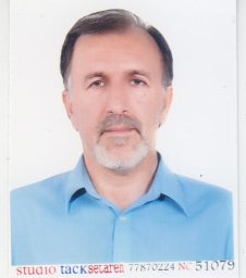 Mohammad H. Pourgholami
