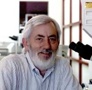Peter J. Bryant