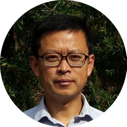 Shi Wei