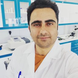 Hamed Hassanzadeh
