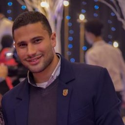 Sameh A. Hussein
