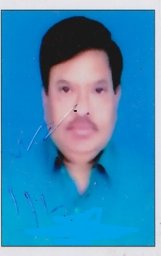 Bhargava A