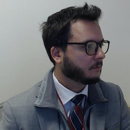 Flavio H Alonso