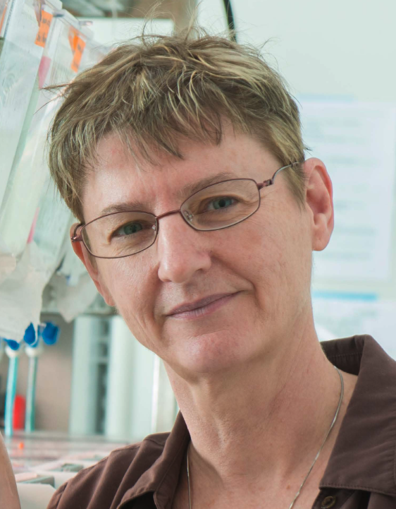 Kim Hughes
