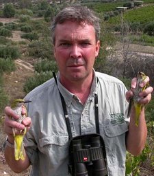 Thord Fransson