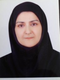 Niloufar Akbarzadeh-T
