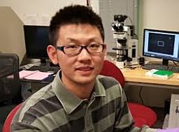 Wenjin Zhao