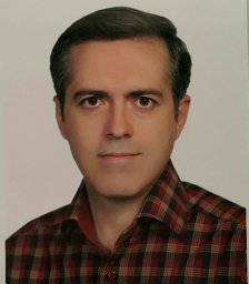 Mostafa Raisi