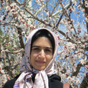 Zahra Moalemi