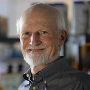 Michael P. Sheetz