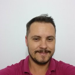 Flavio C. Montes