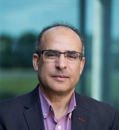 Alaa M. Khamis